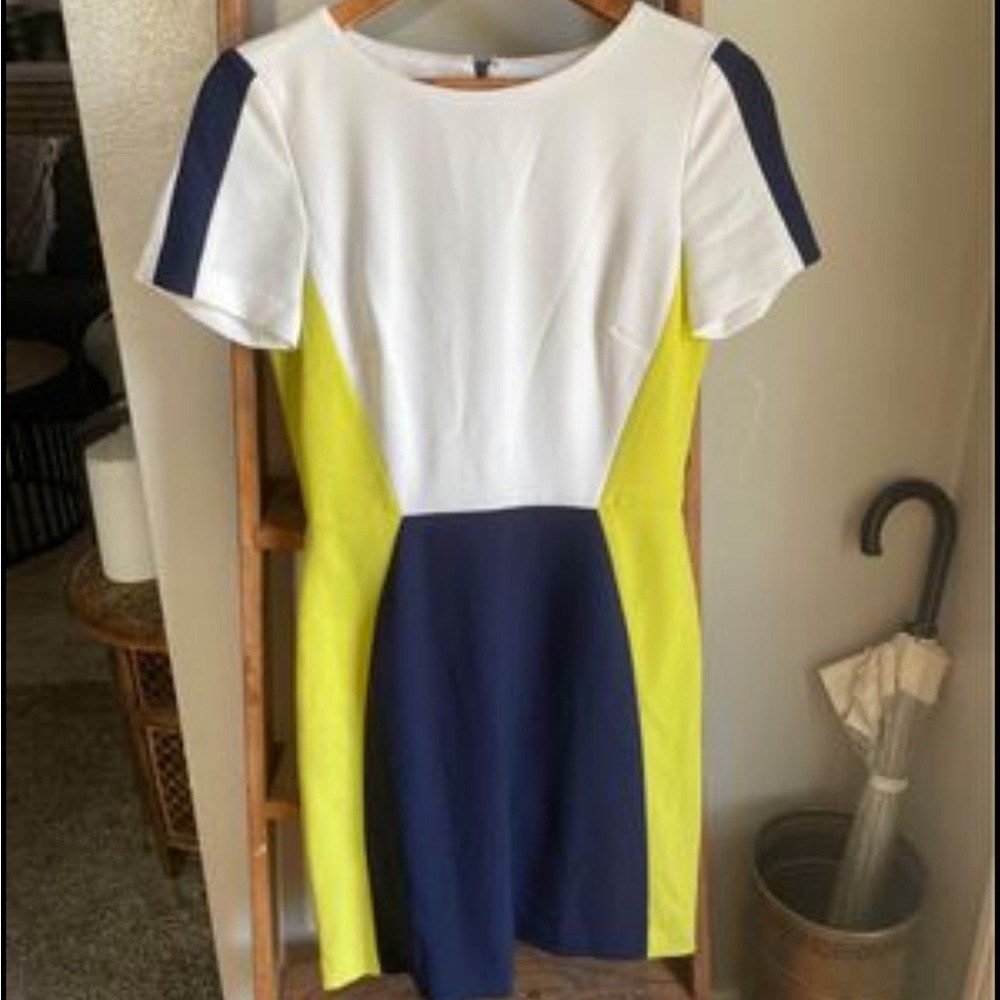 Tahari dress size 4